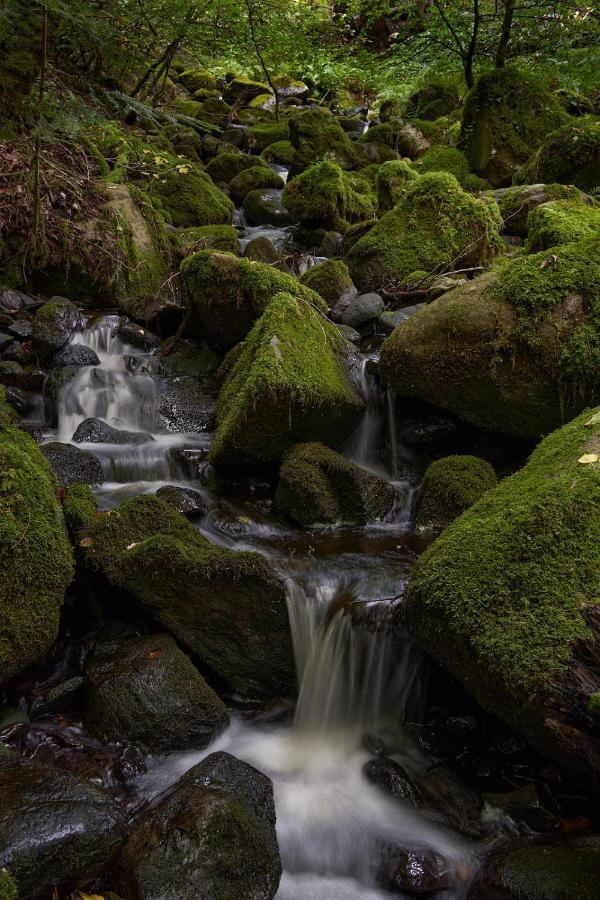 Oakfield Guest House Betws-y-Coed Luaran gambar